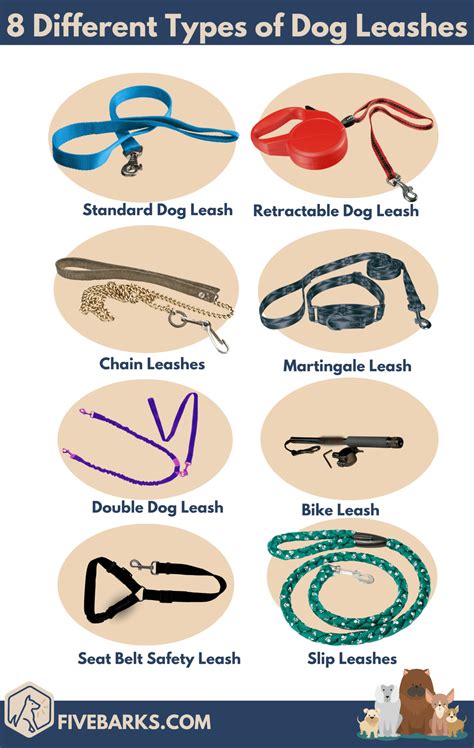 8 Types of Dog Leashes & How to Choose the Best One