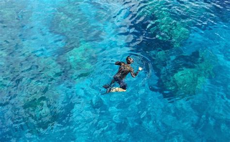 Snorkeling tour di mezza giornata all’Arcipelago della Maddalena | Freedome