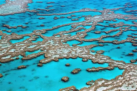 Great Barrier Reef, Cairns