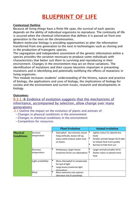 Blueprint of Life | Biology - Year 12 HSC | Thinkswap