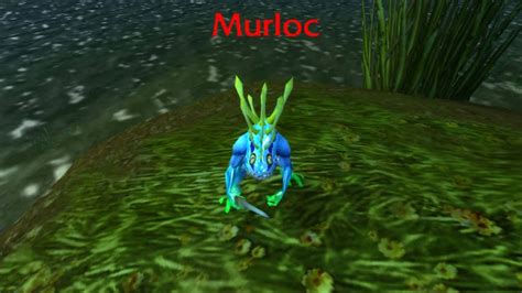 The Murloc Sound - YouTube