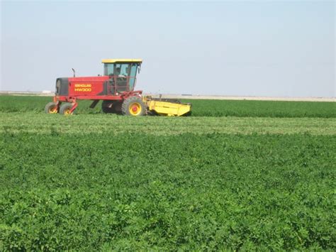 Managing Plant Nutrients: Don’t Forget to Keep Your Alfalfa in Top ...