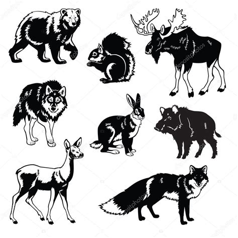 Goodinfo: Forest Wild Animals Clipart Black And White