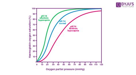 What Causes Right Shift in Oxyhemoglobin Dissociation Curve? Get the ...