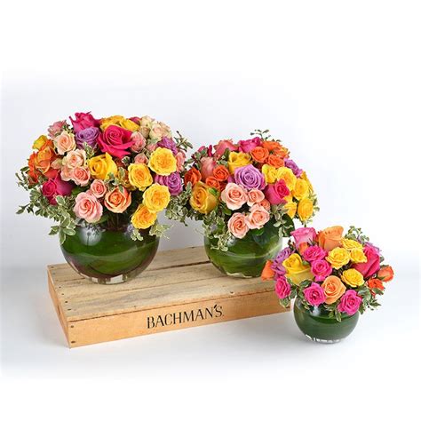 BACHMAN'S • Floral Gift & Garden | Silk flowers, Floral gifts, Blooming plants