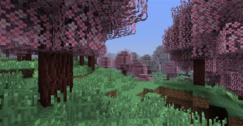 Image - CherryBlossomGrove03.png | Biomes O' Plenty Wiki | FANDOM ...