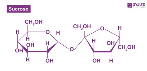 Disaccharide Molecule Structure