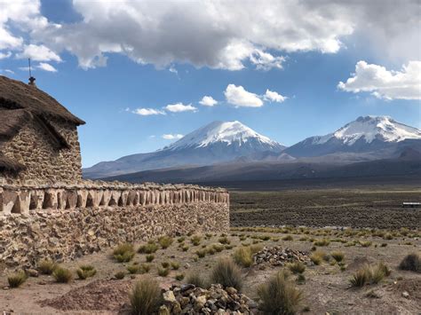 Sajama National Park in Oruro | Expedia