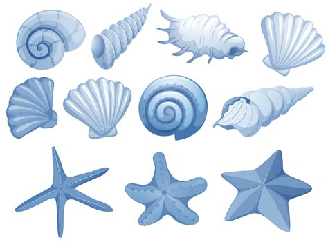 A Set of Blue Seashell 302590 Vector Art at Vecteezy