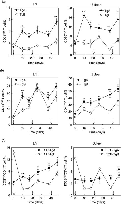 Characterization of T cell activation markers and co-stimulatory ...