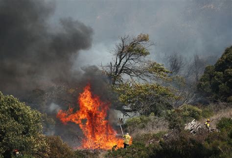 Table Mountain wildfire threatens University of Cape Town | Reuters