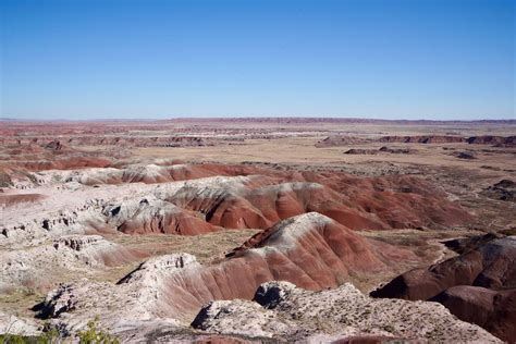 Petrified Forest National Park