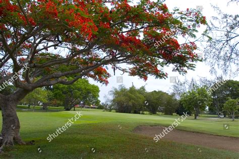 Rockley Golf Club 7th Hole Rockley Editorial Stock Photo - Stock Image ...