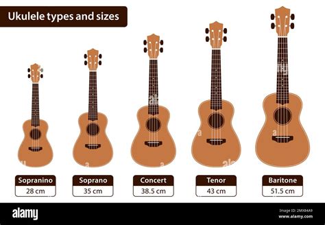 Kids and professional Ukulele sizes comparison in centimeters, flat diagram vector poster Stock ...