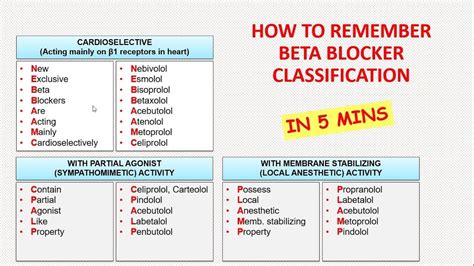 cephalosporins | Beta blockers, Nonselective beta blocker, How to memorize things