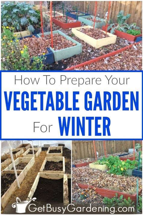 5 Easy Ways To Get Your Vegetable Garden Ready For Winter | Garden prepping, Fall garden ...