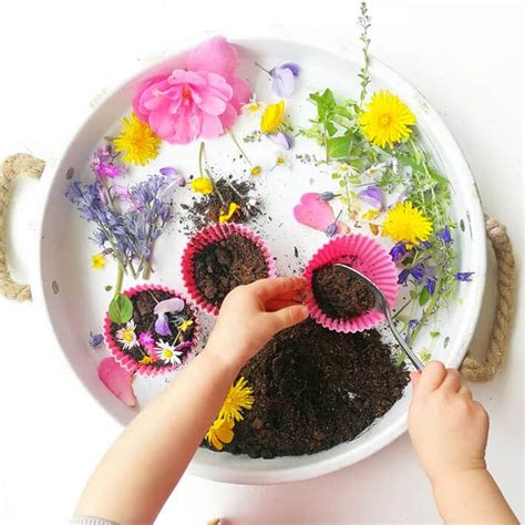 Nature Theme Activities For Preschool