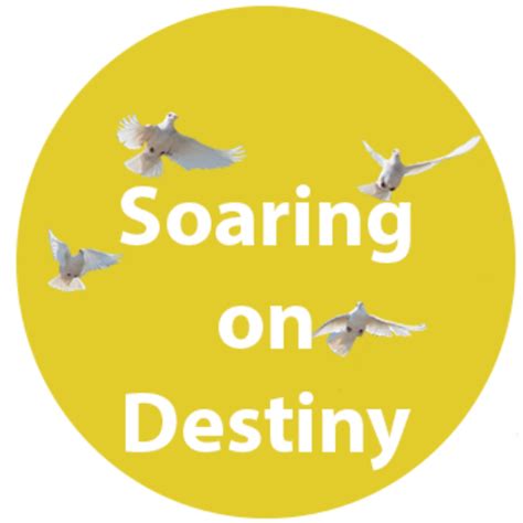 Soaring on Destiny – Devoted to His Word