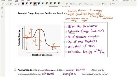 RChem Unit 7 Obj. 5 Potential Energy Diagrams - YouTube