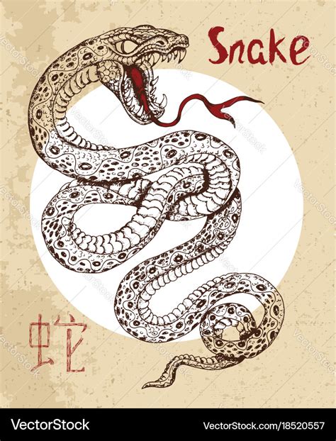 Chinese zodiac symbol of etching snake Royalty Free Vector