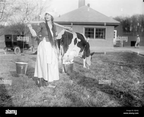 Dutch Dairy Maid with cow, Milkmaid or milk maid Stock Photo - Alamy