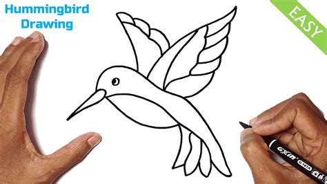 How to Draw a Hummingbird Step by Step Easy | Cute Hummingbird Drawing ...