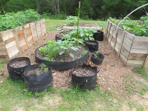 8 Essentials for Your Homestead Garden