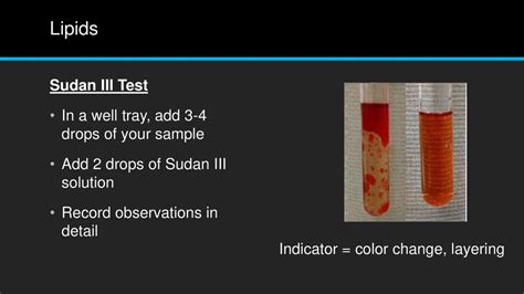 Macromolecule Testing - ppt download