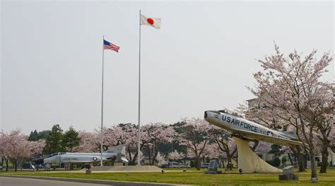 Cherry blossoms in bloom around Misawa > Misawa Air Base > Article Display