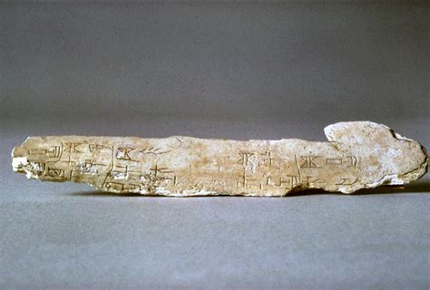 Oracle Bones - Education - Asian Art Museum