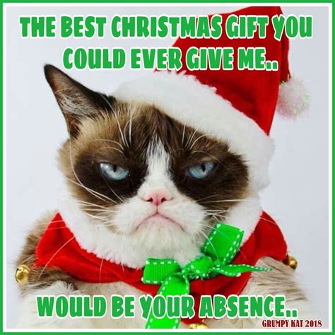 Another Grumpy Cat meme by the other Grumpy Kat 2018 - Christmas Gift to Grumpy | Funny ...