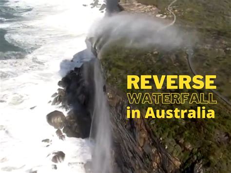 Reverse waterfall| 'Reverse waterfall' captured in spectacular footage ...