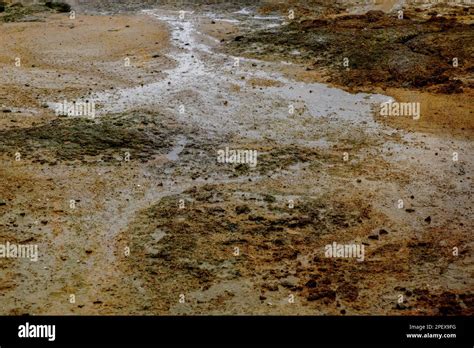 Pink granite coast at Trégastel Stock Photo - Alamy