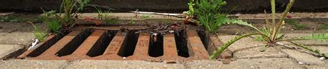 Drain Blockages and Drain Services London