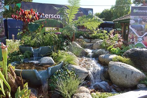 Taunton Flower Show 2022 - DU Waterscapes