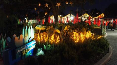 SeaWorld's 2011 Christmas Celebration - HD video & photo tour