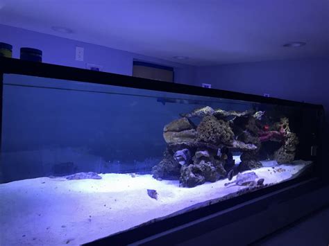 Monster Build - Considering rearranging my fish cave. 500 gallon fowlr | Reef2Reef