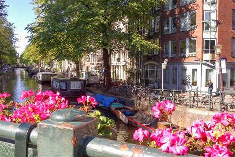 Amsterdam Walking Tour and Canal Cruise | GetYourGuide