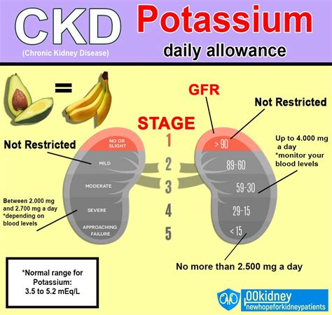 Polycystic Kidney Disease, Chronic Kidney Disease, Health Heal, Kidney ...