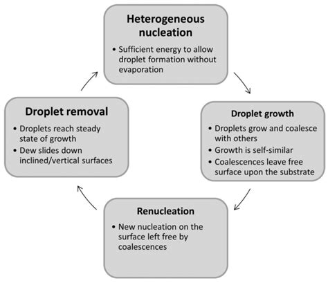 Dew Formation Process (Tomaszkiewicz et al., 2015) | Download ...