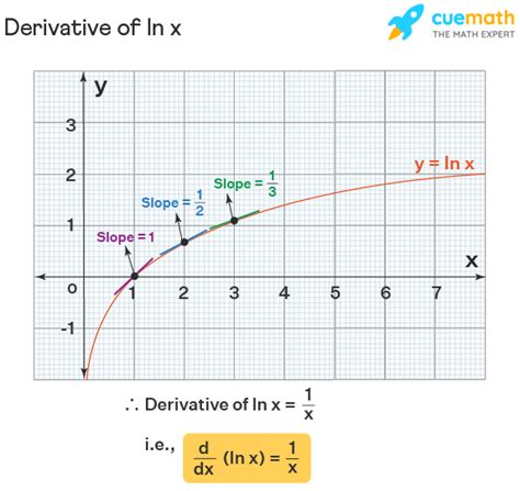 The derivative of ln x- All you need to know » Education Tips