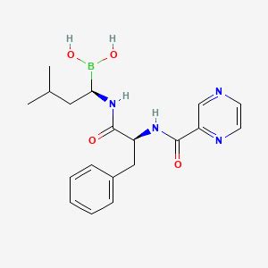 Bortezomib | C19H25BN4O4 | CID 387447 - PubChem