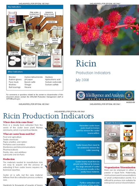 Ricin Production Indicators | PDF | Physical Sciences | Chemical Compounds