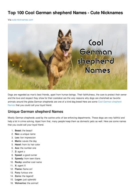 Top 100 cool german shepherd names cute nicknames by Cute Nicknames - Issuu