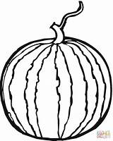 Whole Watermelon coloring Page  Free Printable Coloring Pages sketch template