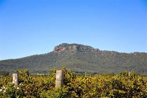 15 Best Things to Do in Singleton (Australia) - The Crazy Tourist