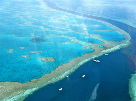 Amazing Great Barrier Reef | Helicopter ride over the Great … | Flickr