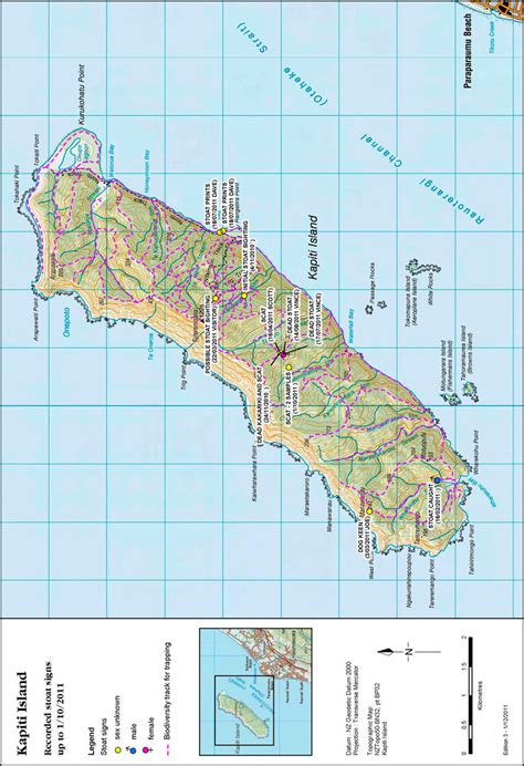 Map of Kapiti Island showing areas where stoats were captured and ...