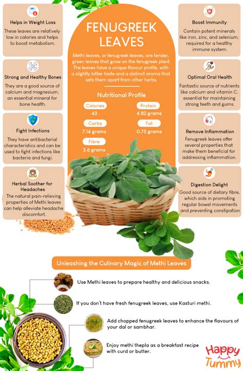 Fenugreek Leaves(Methi Leaves): Surprising Benefits Uncovered! - Happytummy