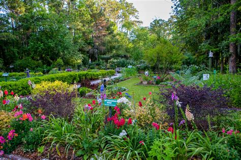 Spring is in Bloom at the Savannah Botanical Gardens | Botanical gardens, Savannah chat, Botanical